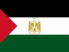 Image result for Arabic Flag