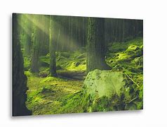 Image result for Nature Canvas Art