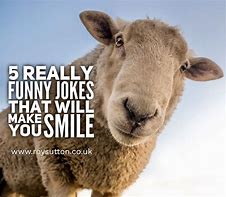 Image result for 100 Funny Jokes