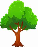 Image result for Tree Pictures Clip Art