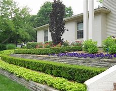 Image result for Landscaping with Boxwood Shrubs