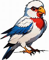 Image result for Lorie's Bird