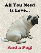 Image result for Pug Sayings