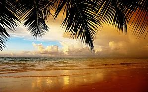 Image result for Simple Beach View Backgrounds