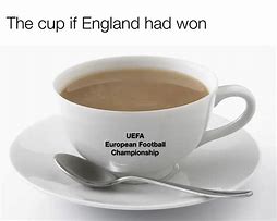 Image result for Cat Cup of Tea Meme