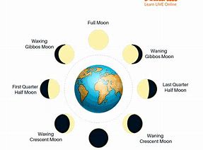 Image result for Moon Phases Chart for Kids