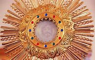 Image result for Eucharistic Miracles Book