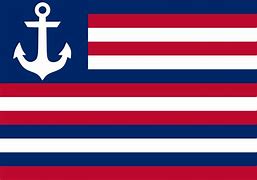 Image result for US Navy Snake Flag