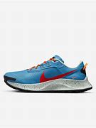 Image result for Nike Men's Trail Shoes