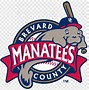 Image result for 3X5 Flag Minor League Baseball