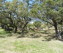 Image result for 16316 Hamilton Pool