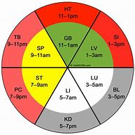 Image result for Qi Organ Cleanse Clock Cycle