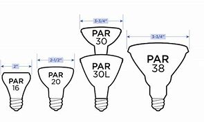 Image result for Bulb Size Chart