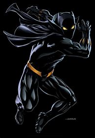 Image result for Marvel Heroes Black Panther