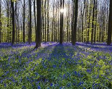 Image result for Spring Landscape Art