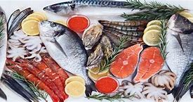 Image result for Live Marine Fish Food