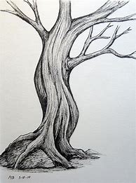 Image result for Tree Pencil Clear Sketch