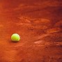 Image result for Tennis Ball Texture