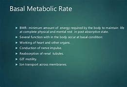 Image result for Define Metabolic Rate