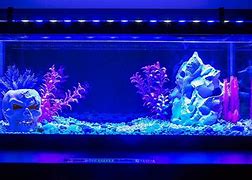 Image result for LED Aquarium Lighting