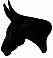 Image result for Mule Head Clip Art