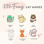 Image result for Funny Long Names