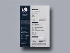 Image result for Cool Resumes