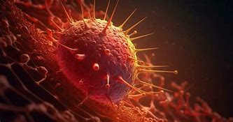 Image result for Bone Cell Picture B