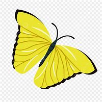 Image result for Yellow Butterfly Cartoon Clip Art