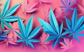 Image result for Pink Marijuana Leaf Design