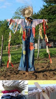 Image result for Garden Scarecrow Ideas