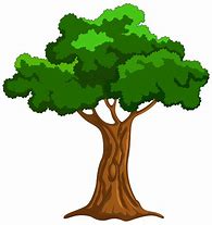 Image result for Tree Pictures Clip Art