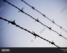 Image result for Barb Wire Line