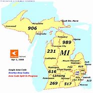 Image result for 248 Area Code Map