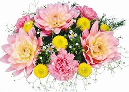 Image result for Bouquet 4K