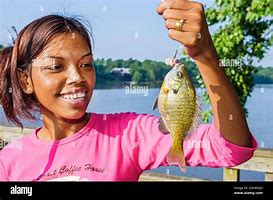 Image result for Catching a Fish