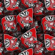 Image result for UW-Madison Badgers