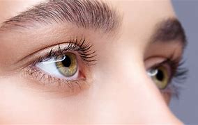 Image result for Eye Glimpse Photography