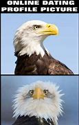 Image result for I'm an Eagle Meme