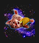 Image result for Space Cat and Taco Meme