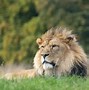 Image result for Whipsnade Zoo Soft Play