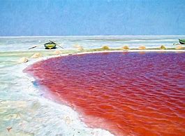 Image result for Sott El Jerid