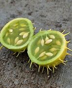 Image result for Paddy Melon