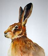 Image result for Bing Hare Images