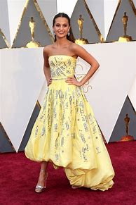 Image result for Oscar Gowns