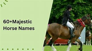 Image result for Majestic Horse Names