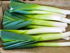 Image result for Leek