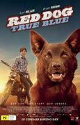 Image result for Red Dog Aus