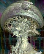 Image result for Mushroom Fractals