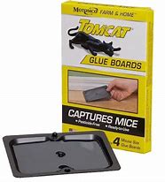 Image result for Tomcat Glue Boards